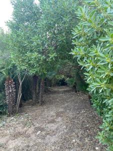 Villa sul Mare Calalunga Calasetta Sant Antioco img67