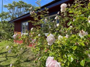 4 person holiday home in Skärhamn-By Traum