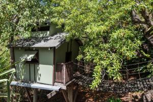 Indulge in the Lap of Luxury, Iluka is Your Private Ocean-view Haven on Half an Acre with Infinity Pool and Two Golf Buggies