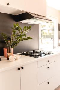 Campings Sauvage : photos des chambres
