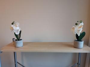 Town Centre Penthouse