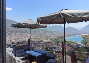 Castle Light Boutique