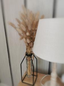 Villas Villa Milea - Lege Cap-Ferret : photos des chambres