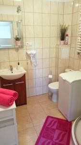 Apartament Malinowy Świętoduska 12