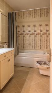 dolphine apatment turunç