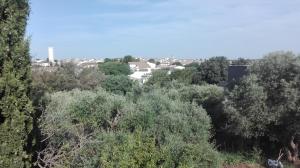 B&B / Chambres d'hotes Le Mazet de choubouloute : photos des chambres