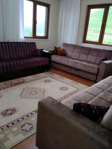 Şahin Apart - Demirkapı - UZUNGOL