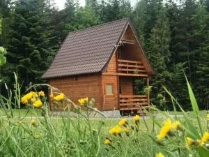 Domek letniskowy Biedówka - Leśniówka