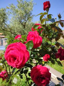 Sejours chez l'habitant KEUR JANT BI : photos des chambres