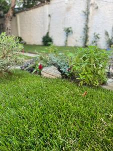 Florents Superb Studio, free parking & garden!!