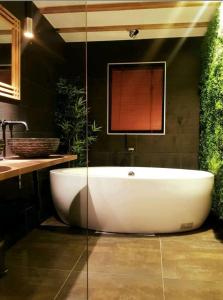 Beautiful Duplex in the center of Brussels