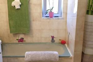 Ria Formosa Pineview