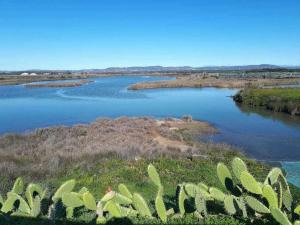 Ria Formosa Pineview