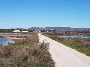 Ria Formosa Pineview