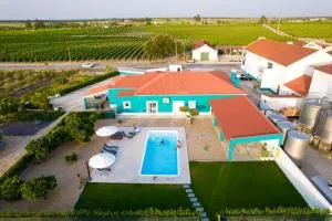 Delmira Vineyard House - Marateca