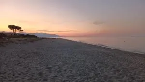 Maison à 200m de la mer, 10 mn de l'aéroport de Bastia - Camp du Cap Sud