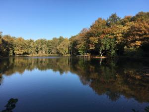 Sejours a la campagne Calme, nature, foret et chevaux : photos des chambres