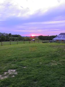 Sejours a la campagne Calme, nature, foret et chevaux : Bungalow Familial