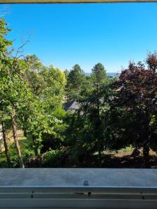 Location saisonnière appartement situé à Saumur