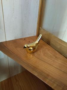 Studio sympa et très calme entre canal et Loire