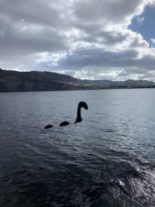 3 BR Luxury Apt at Highland Club - Fort Augustus