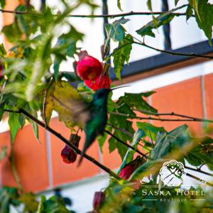 Saska Boutique Hotel