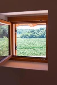 Tenuta Della Casa Wine & Rooms - La Pausa del Collio