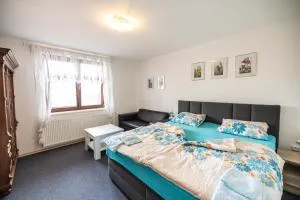 Apartmán Absolon - 弗兰诺夫