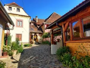 Casa Marcus - 锡吉什瓦拉