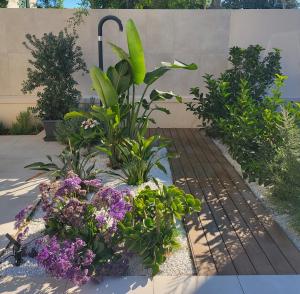 Twin Palms beach villa img31