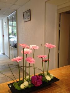 Hotels Hotel Belle Meuniere : photos des chambres