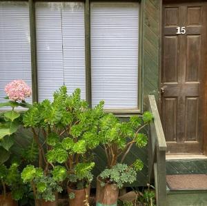 Loft Camino a Punta de Lobos