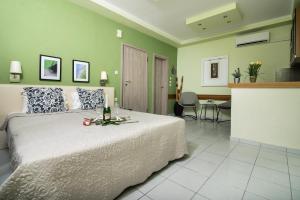 Superior Double Room room in Assamaris