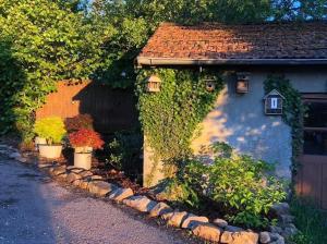Appartements La petite maison d’Orphee : photos des chambres