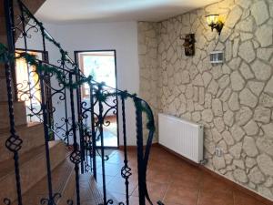 Vila Ianis Bran