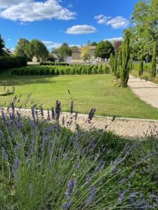 Maisons de vacances Maison de maitre Gironde : photos des chambres