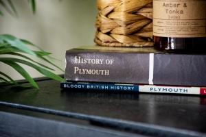 Plymouth Barbican boutique luxury Apartment