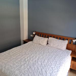 APARTAMENTO PISCIS LITORAL