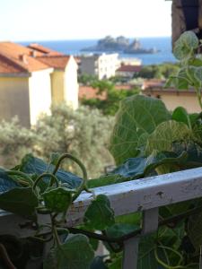 Apartment Hypnos Petrovac