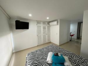 Lindos apartaestudios y habitaciones en Ibague