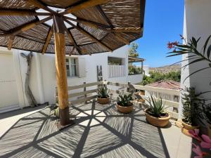 Speires suites