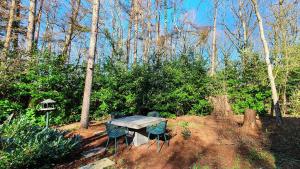 Natuurhuis Boscoso met openhaard en elektr.fietsen