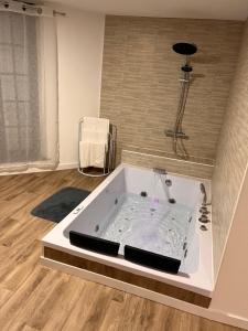 Love hotels Magnifique Loft 35m2 Jacuzzi RVB NIGHT 1 : photos des chambres