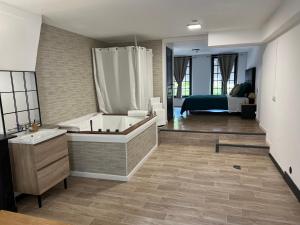 Love hotels Magnifique Loft 35m2 Jacuzzi RVB NIGHT 1 : photos des chambres