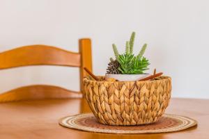 Areyas Pool By ALzira