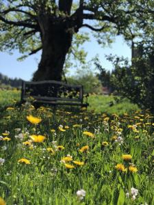 Ferienwohnungen Britta Heim