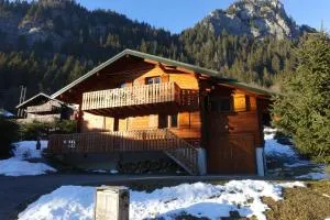 Spacious comfortable chalet close to the ski lifts for 8 persons - 沙泰勒