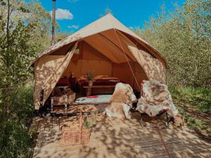 Naturlig på Korsgården Glamping