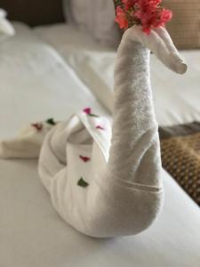 Villa KUBA luxury private pool 2