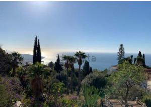 Villa Tropical Dream